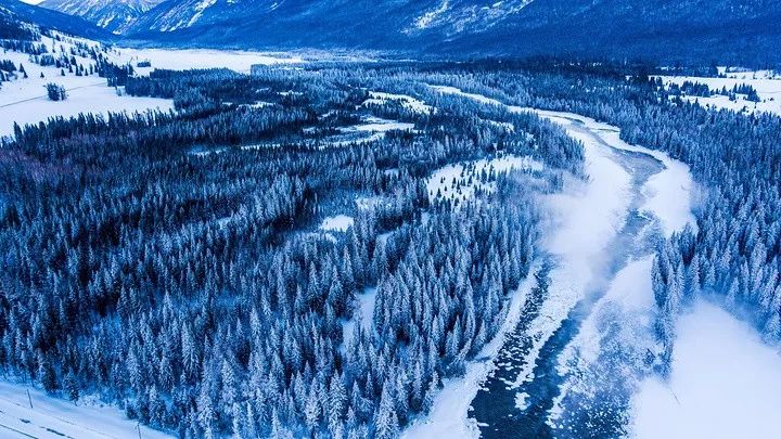 冬天的新疆喀纳斯,冬天是去伊犁还是喀纳斯