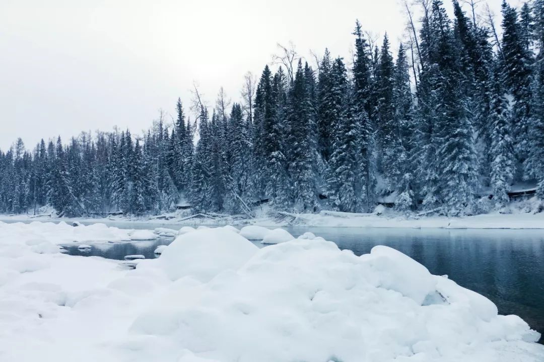 冬天的新疆喀纳斯,冬天是去伊犁还是喀纳斯