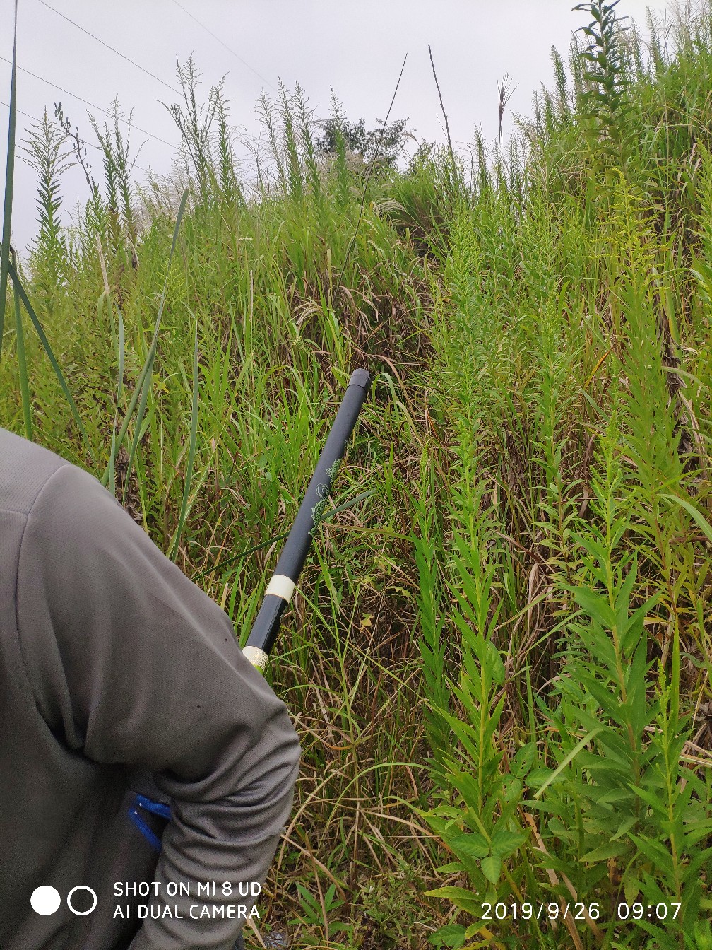 提高路亚中鱼率,打黑用什么假饵中鱼率高