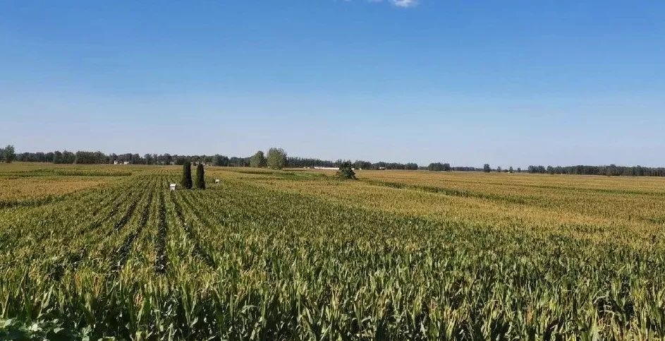 赵县有没有小山村,赵县最南边的村