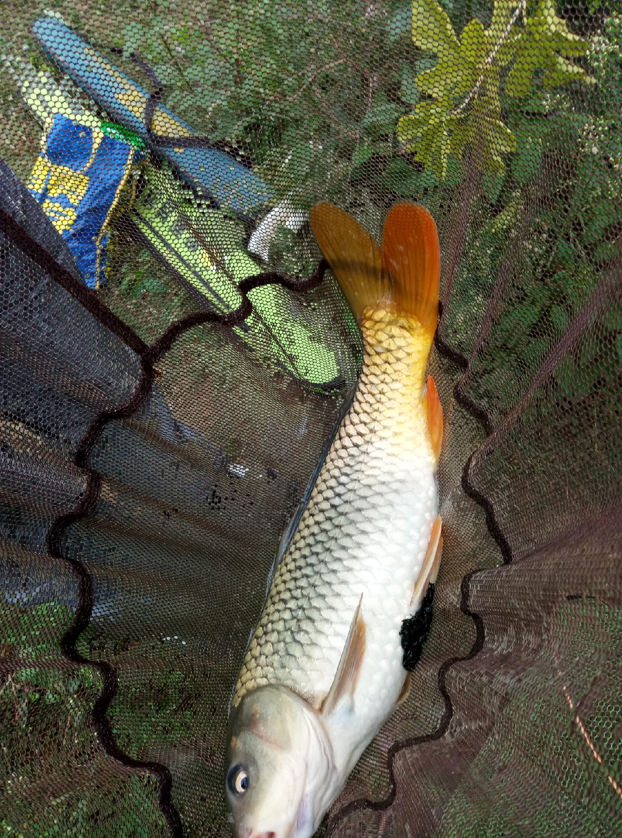 兄弟，我可能不能跟你一块钓鱼了