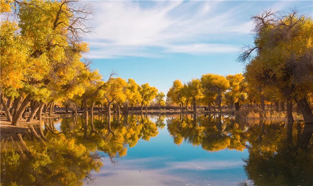 额济纳青年节旅游攻略,从巴彦淖尔市到额济纳旗旅游攻略