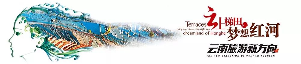 石屏龙韵养生谷干巴菌,云南石屏龙朋干巴菌节