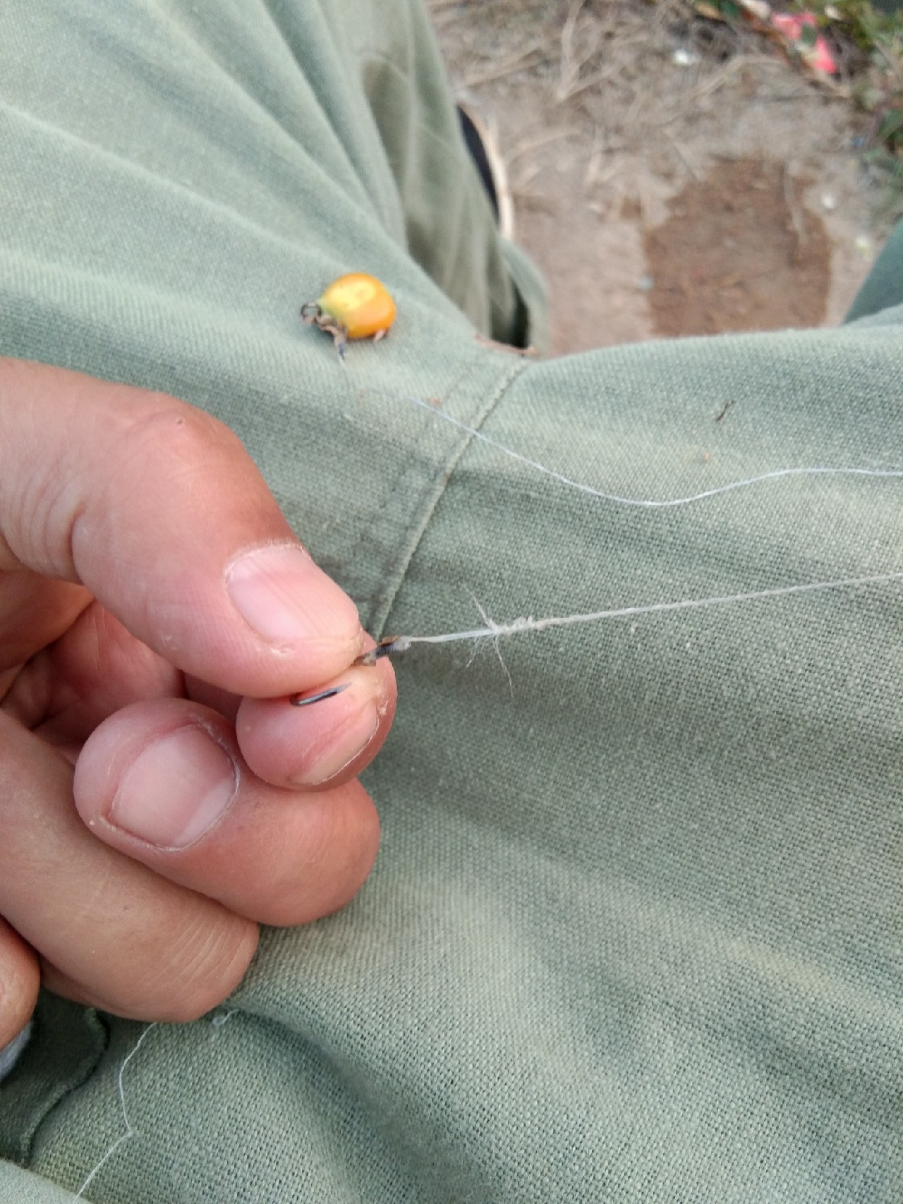 钓淡水白鲳用什么子线,钓淡水白鲳用什么饵料最好