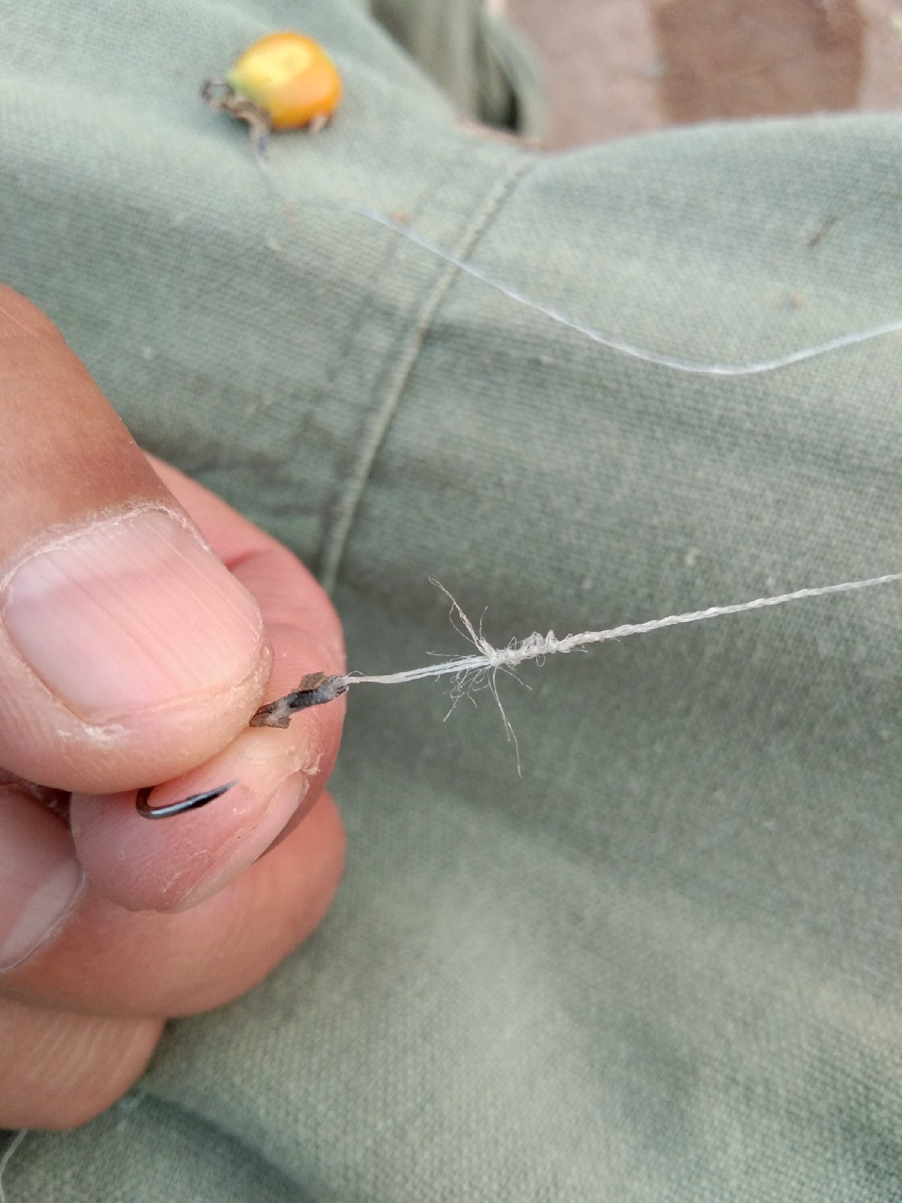 钓淡水白鲳用什么子线,钓淡水白鲳用什么饵料最好