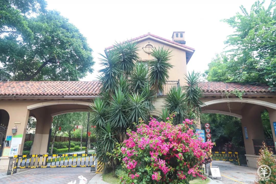 轰趴馆有哪些新颖的玩的,广州50人轰趴馆推荐