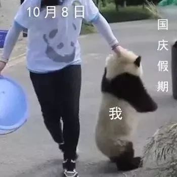 石嘴山就业局最近招聘,石嘴山市聘用编制待遇