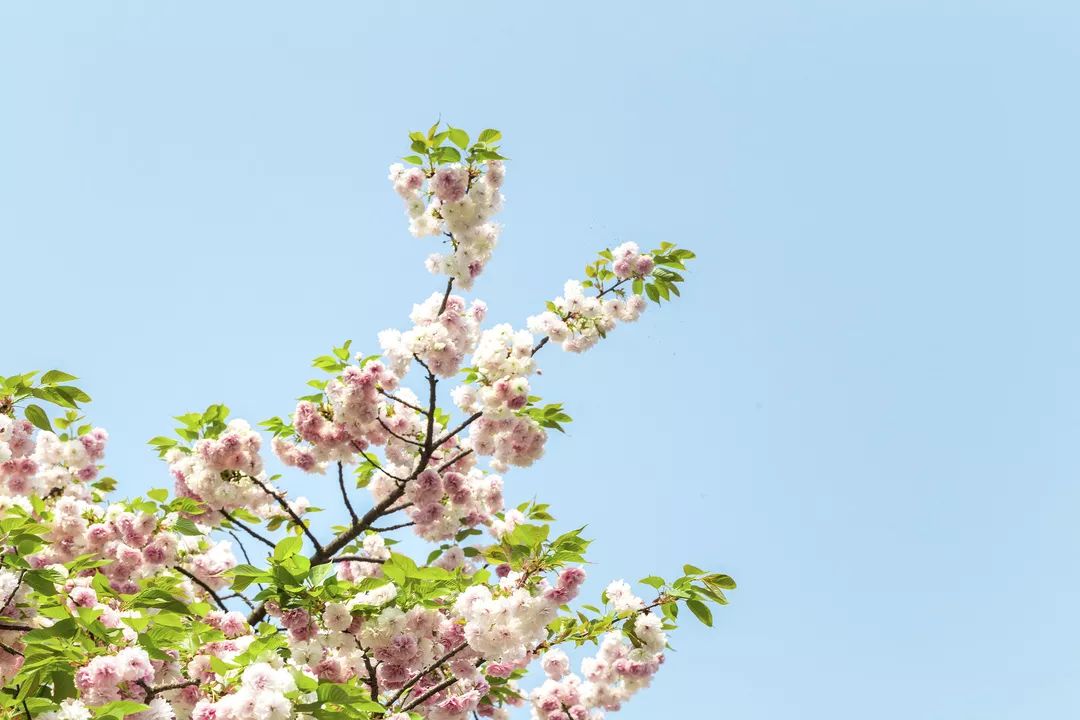 相处太累的关系就放手吧,相处太累的关系就互删吧