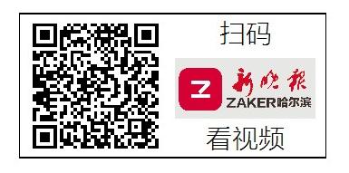 带边牧出门遛弯遇到其他狗,边牧带泰迪开门逃跑