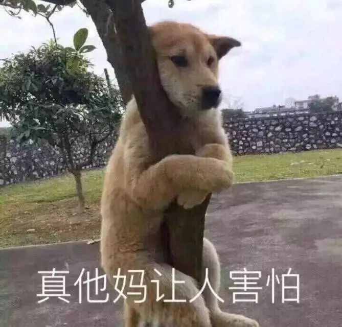 网络占卜算命运,算命割韭菜套路