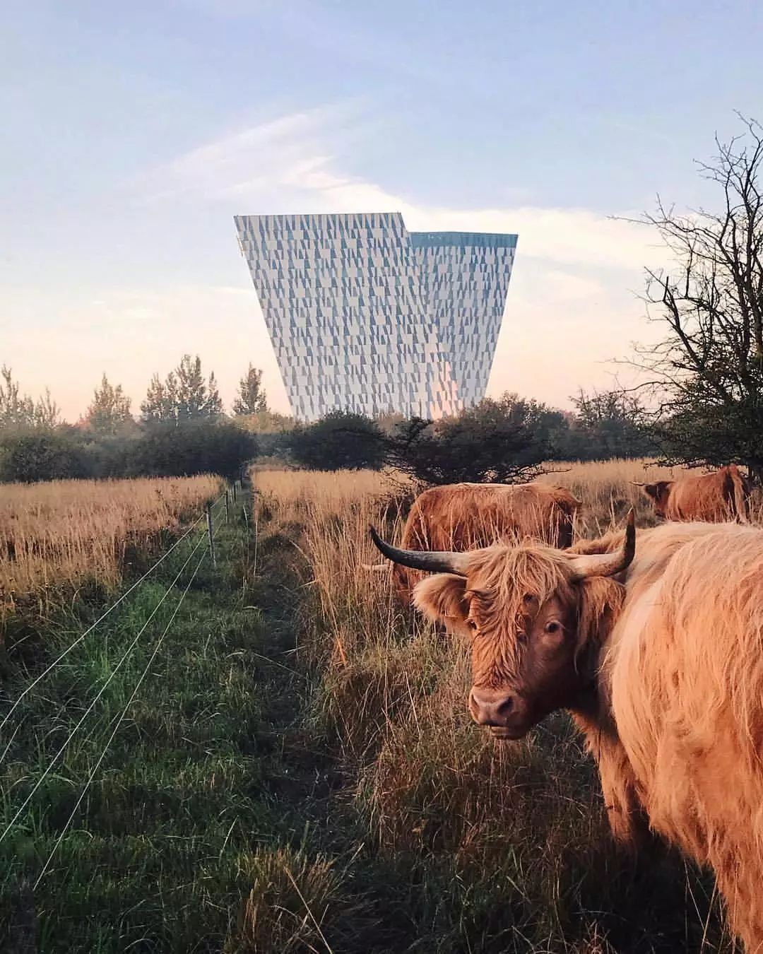 丹麦的标志性建筑或著名景点,丹麦的著名地标有哪些