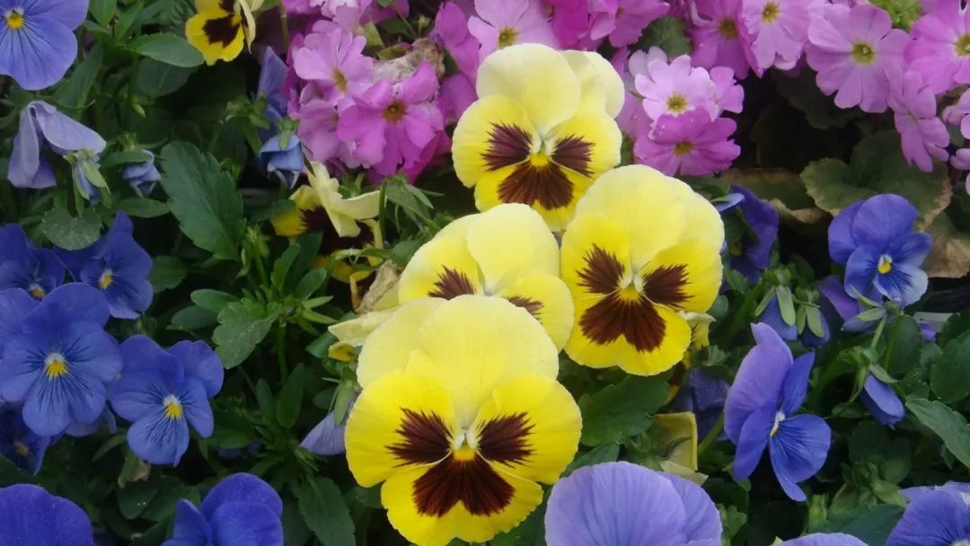 那些年我们听过的民谣歌曲,十首封神的民谣台湾