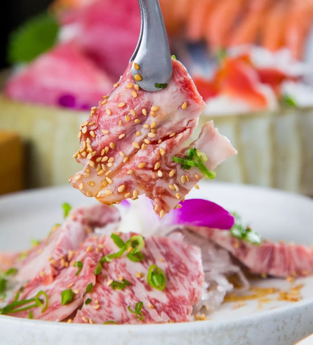 超级网红日料店终于在成都开业了,最便宜的3折店铺套装