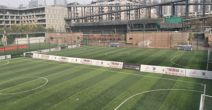 成都有几座专业足球场,成都有哪些免费足球场