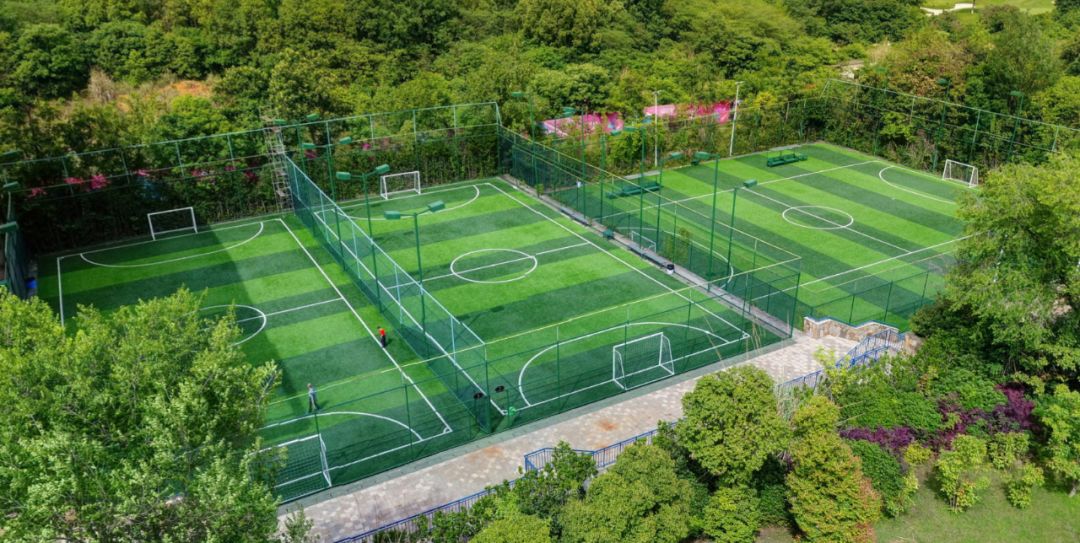 成都南门未来最大的足球场,成都最标准的足球场在哪里