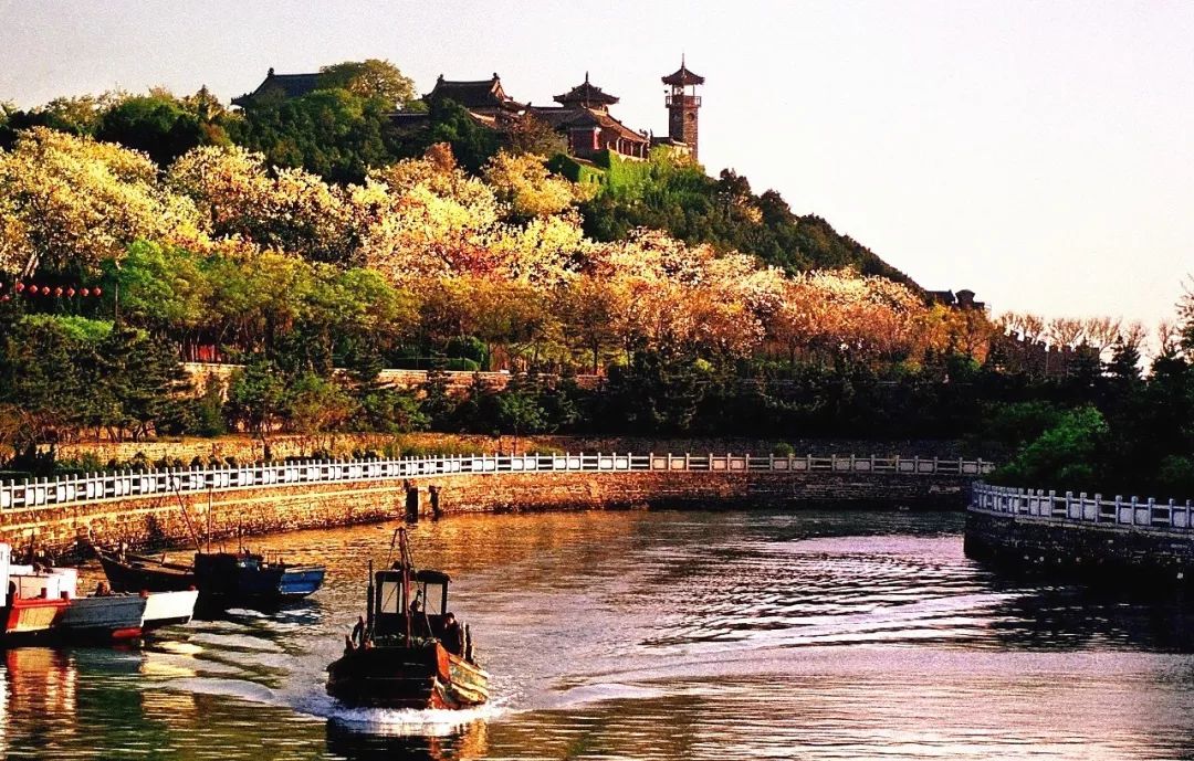 蓬莱夏天的海边,带你领略蓬莱好风景