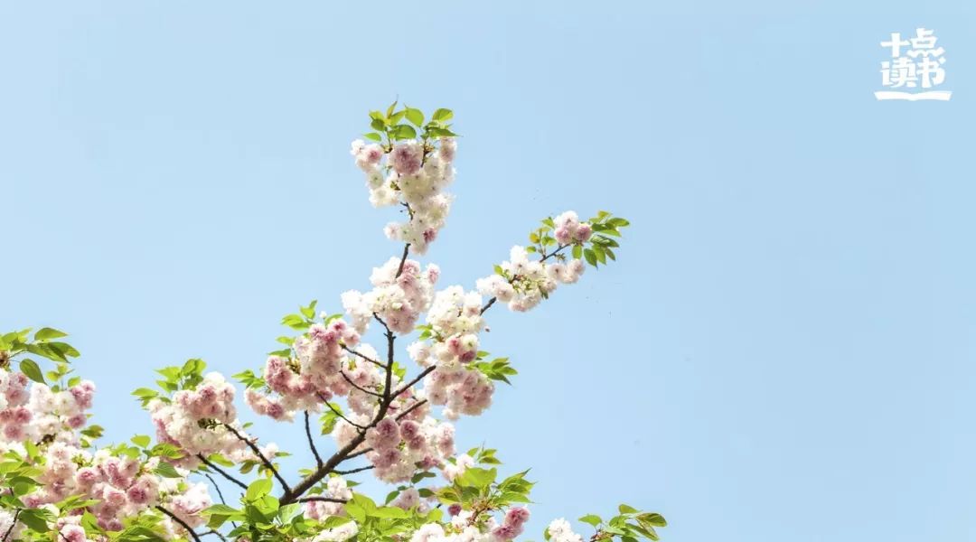 一个人最轻松的状态,一个人最好的状态女声完整版