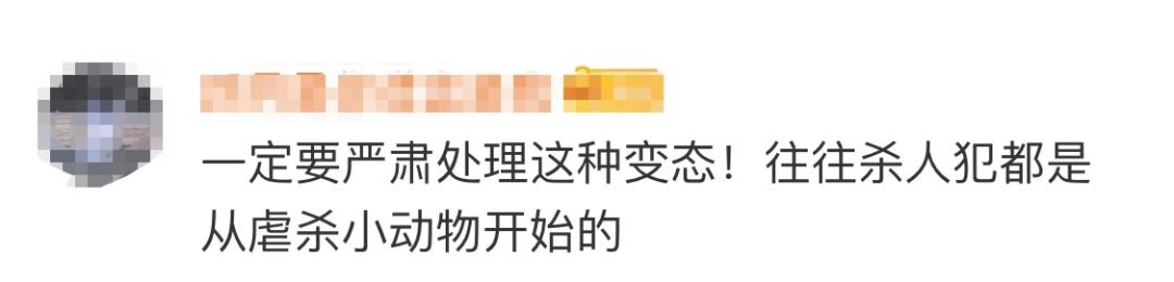 高校回应研究生虐狗处理结果,成都理工大学正式回应虐狗事件