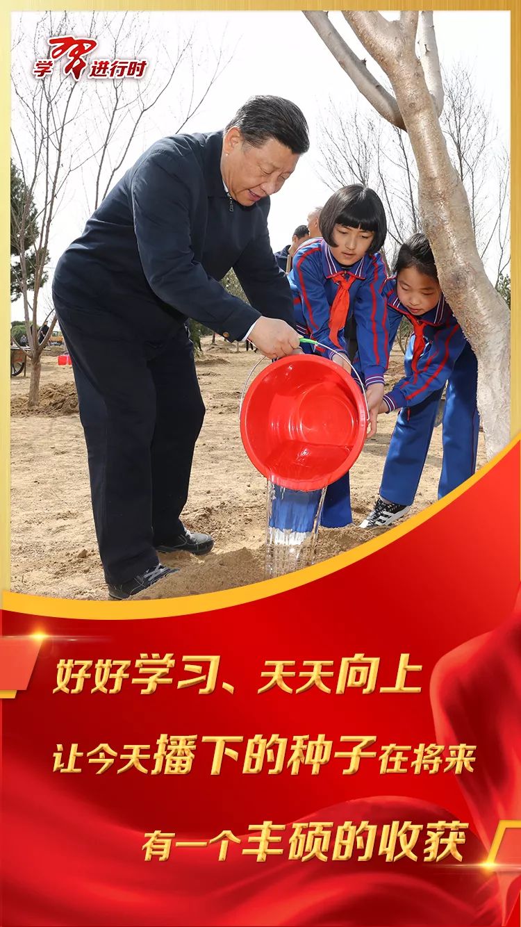 彩超两条杠或者三条杠,综合是哪一科