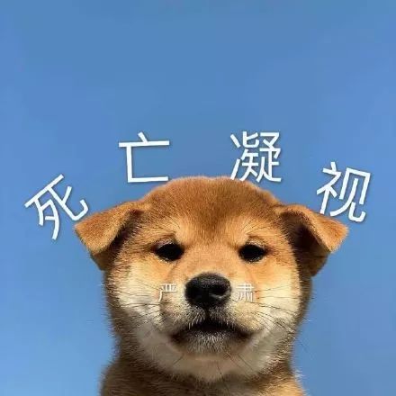 长了十年痘痘病根是什么,长了十几年的痘痘怎么治