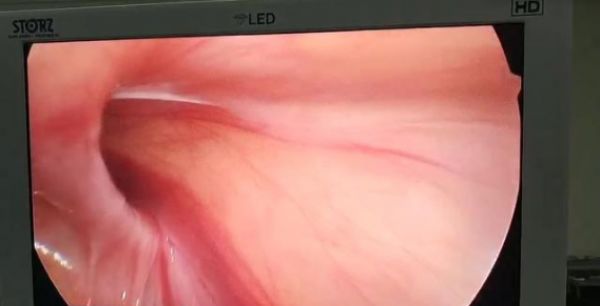 健康科普挑战赛是什么问题,家庭健康合理用药健康科普大赛