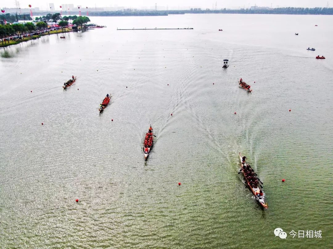 今天，“龙”腾漕湖！