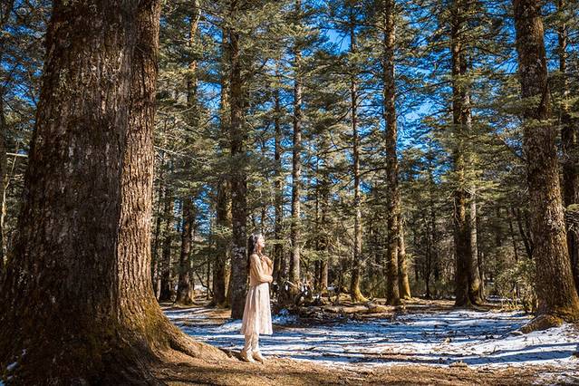 人间仙境美丽丽江,丽江遇见最美的丽江