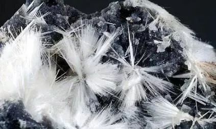 谁还不是个小可爱呢下一句,谁还不是小可爱