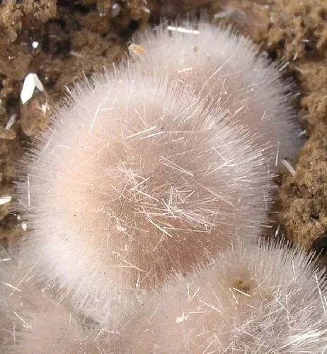 谁还不是个小可爱呢下一句,谁还不是小可爱