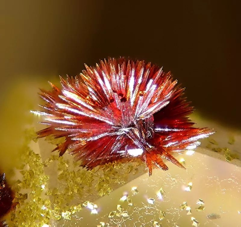 谁还不是个小可爱呢下一句,谁还不是小可爱