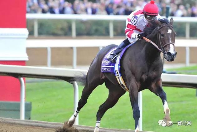 「特稿」近两年有哪些马赢了亿元奖金？内地谁的马最值钱？