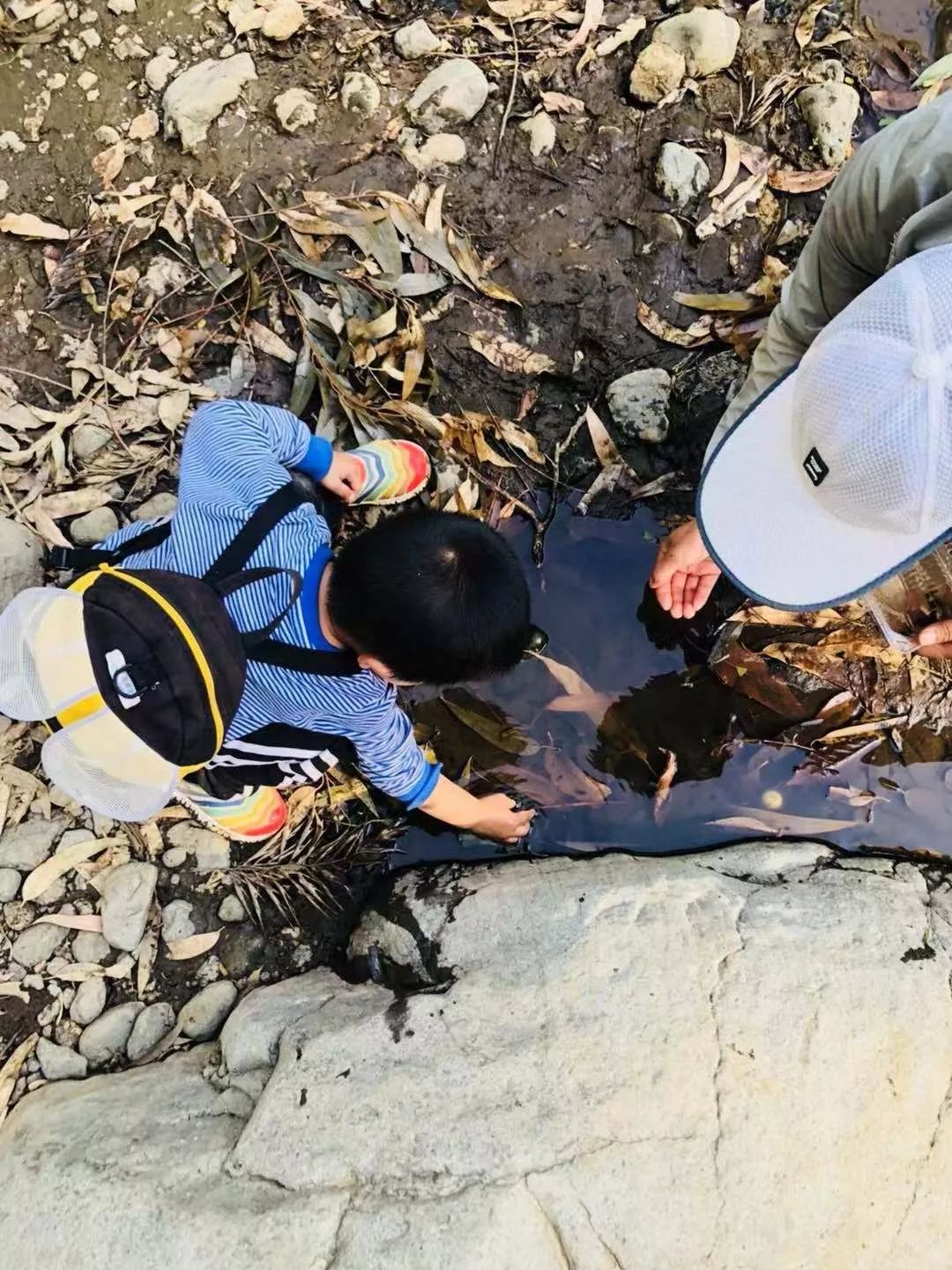 日本诺贝尔奖多少,日本19年诺贝尔奖