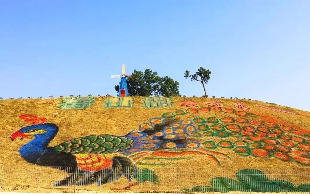 百万豪奖！邀您评出最喜爱的清远市名特优新农产品丨关注