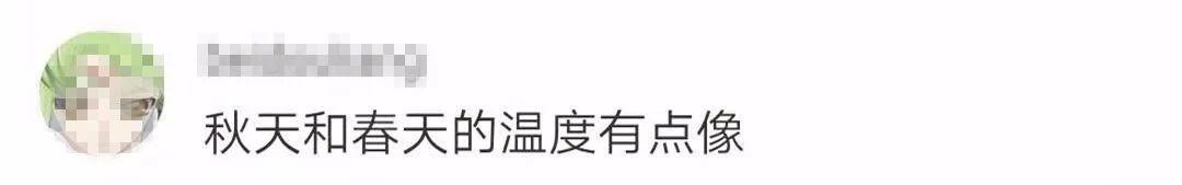 武大樱花近期视频,武大樱花今天有人去了吗