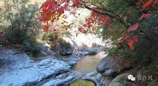 这个周末我约了丹凤的秋天,邀你共赏!去的约起来....