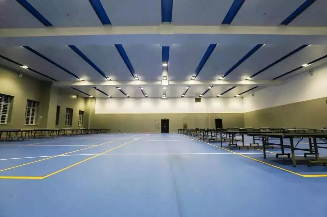 哈工程青岛体育馆,多图来袭