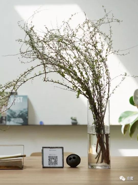 这家隐藏在胡同里的民宿不简单!邓伦都来打卡,你想住吗?,福利