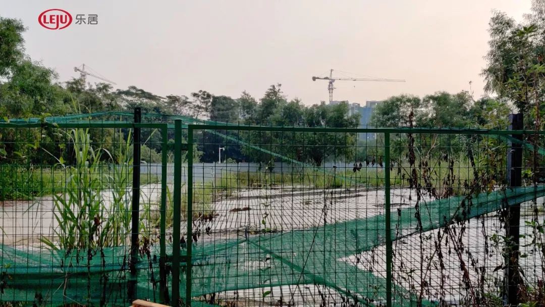 四年后房价上涨百分之四十的城市,4年前学区房房价