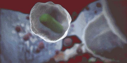 牙龈上火、红肿，还口臭？香港人用了91年的中药牙膏，消炎抑菌，让你刷出一口健康好牙