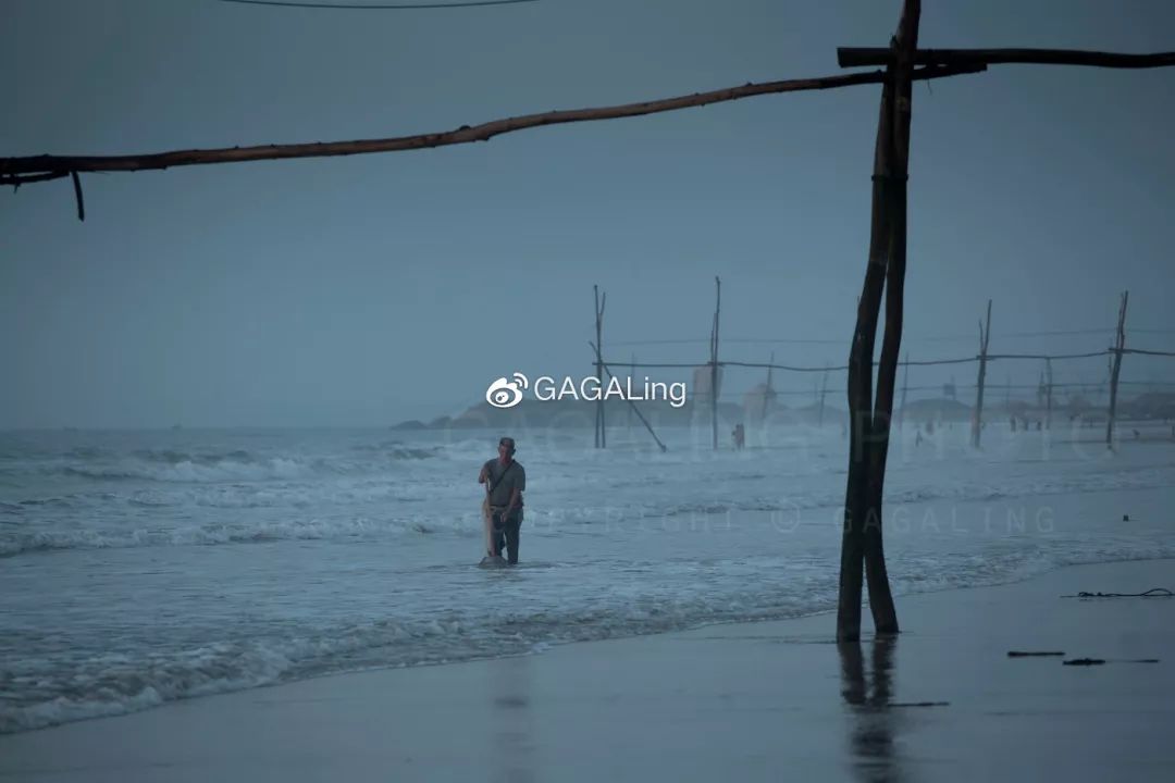 大V推荐|漳州这个鲜为人知的高颜值沙滩，海水湛蓝，还不用门票！