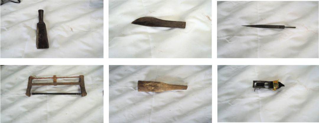 竹子的优点有哪些,竹子很有营养吗