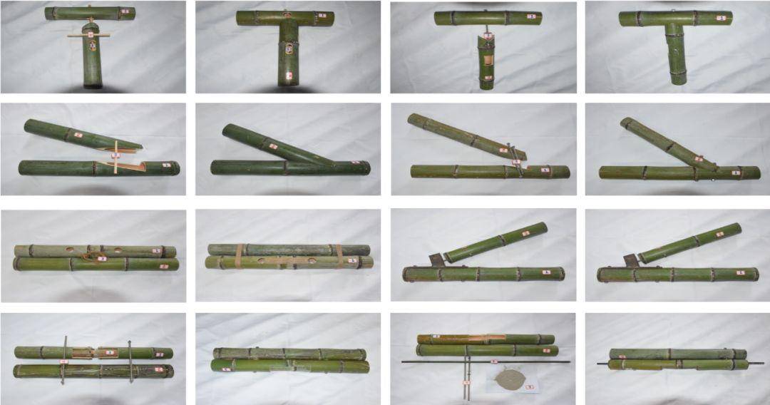 竹子的优点有哪些,竹子很有营养吗