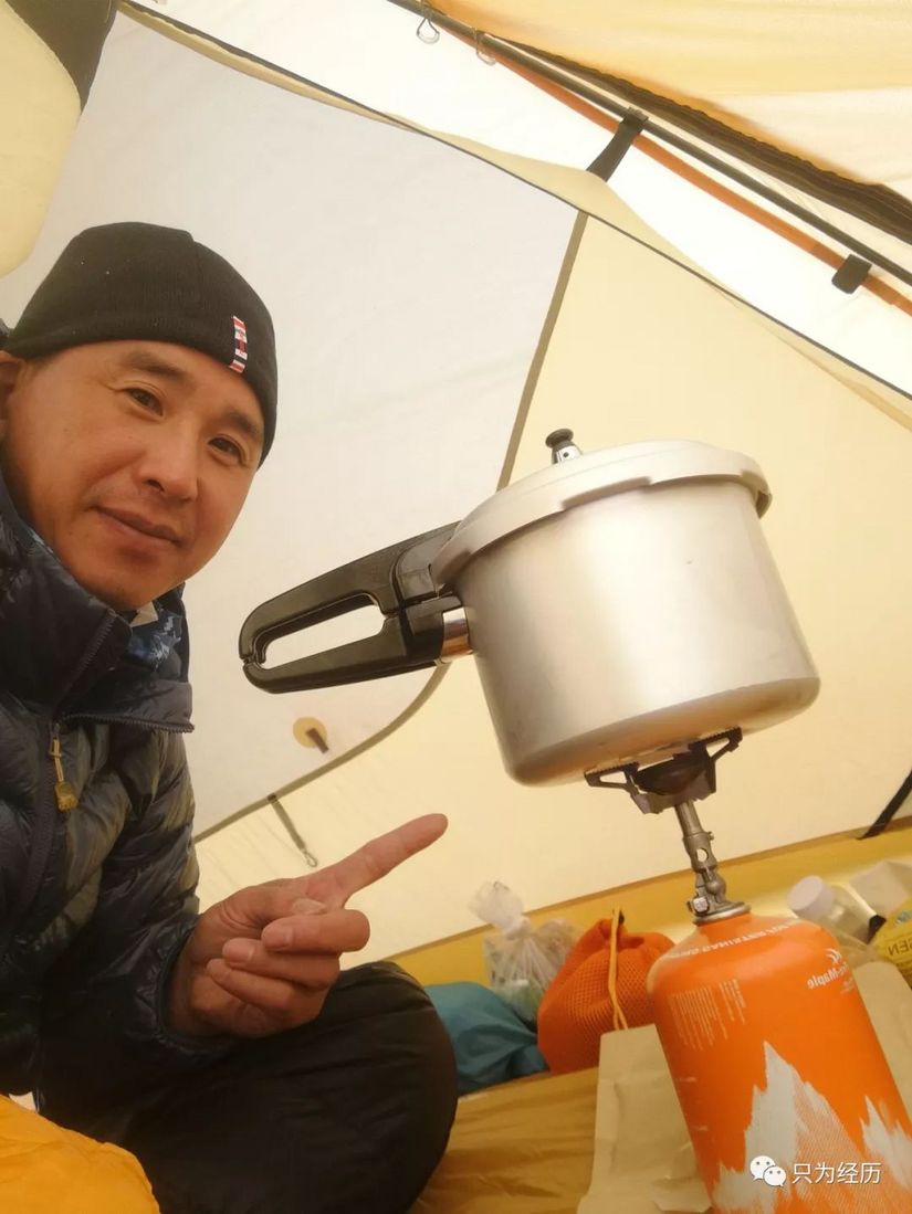 博格达雪莲,博格达天山雪莲