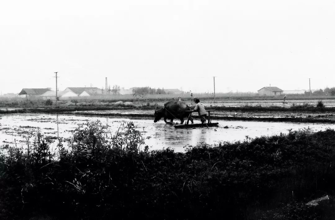上海虹桥中心有什么美景,上海有个地方叫什么港
