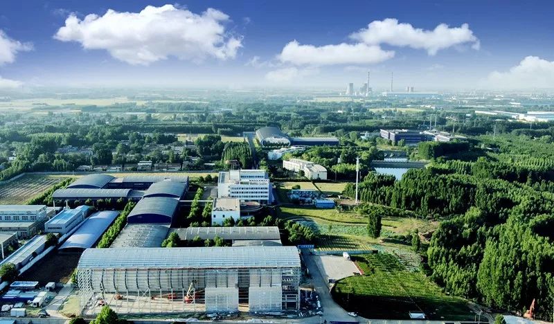 安莉芳优雅知性女人,安莉芳品牌理念