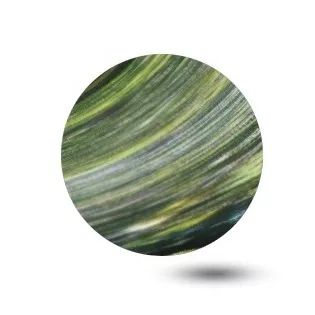 天财小宇宙|和我们一起坐上小飞船遨游吧