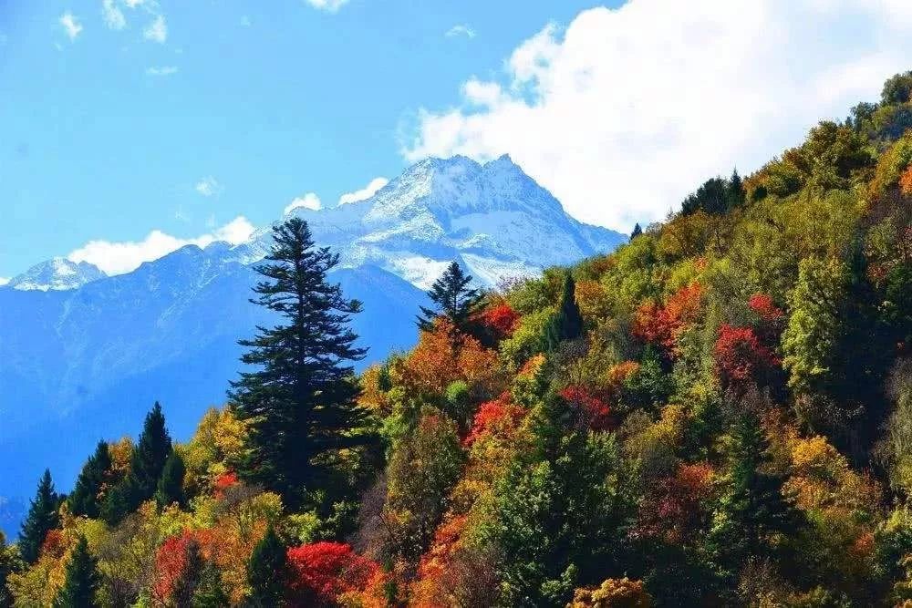 秋天的川西彩林,川西彩林最佳观赏地点