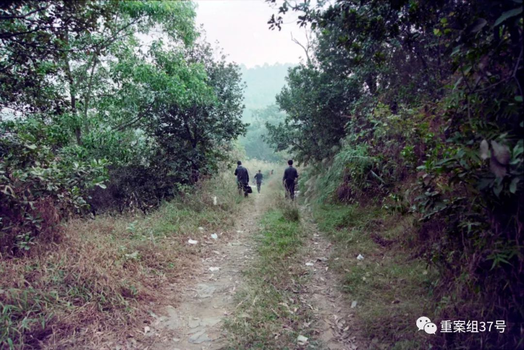 15年前“无名碎尸案”告破，大学毕业生陷“恒天”传销被害