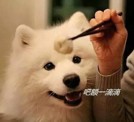 全国塑料普通话图鉴,全国塑料普通话图片