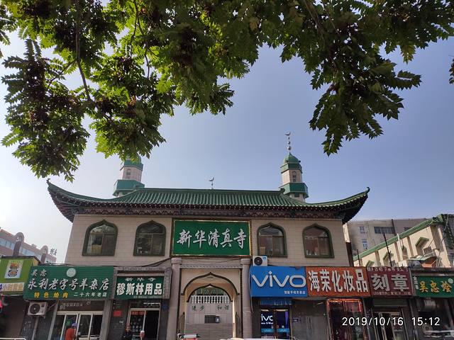 神秘西夏全域旅游,十一银川免费一日游推荐